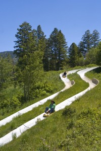 Snow King Mountain's Alpine Slide