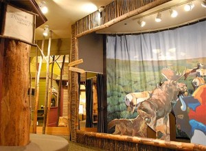 Children's Discovery Gallery at the National Museum of Wildlife Art