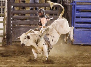 Jackson Hole Rodeo