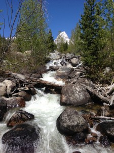 Taggart Lake