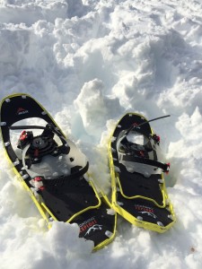 Snowshoeing in Jackson Hole