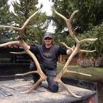 Giant_Antler