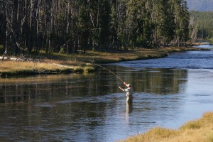 Jackson Hole Fly Fishing