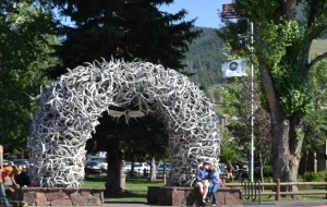 Elk-Antler-Arches-1