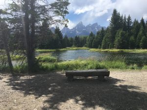 Schwabacher's Landing