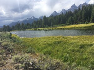 Schwabacher's Landing