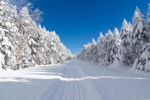 snowmobiling tours in jackson hole