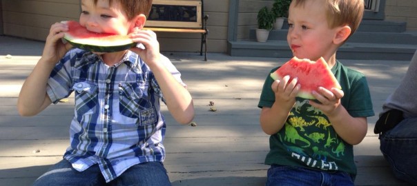 Two young boys on family vacation in Jackson Hole