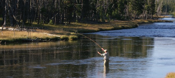 Jackson Hole Fly Fishing