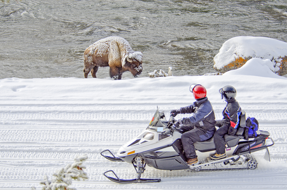 best snowmobile tours in jackson hole