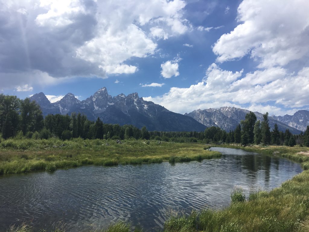 Schwabacher's Landing