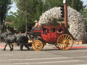 1st timer's guide to jackson hole