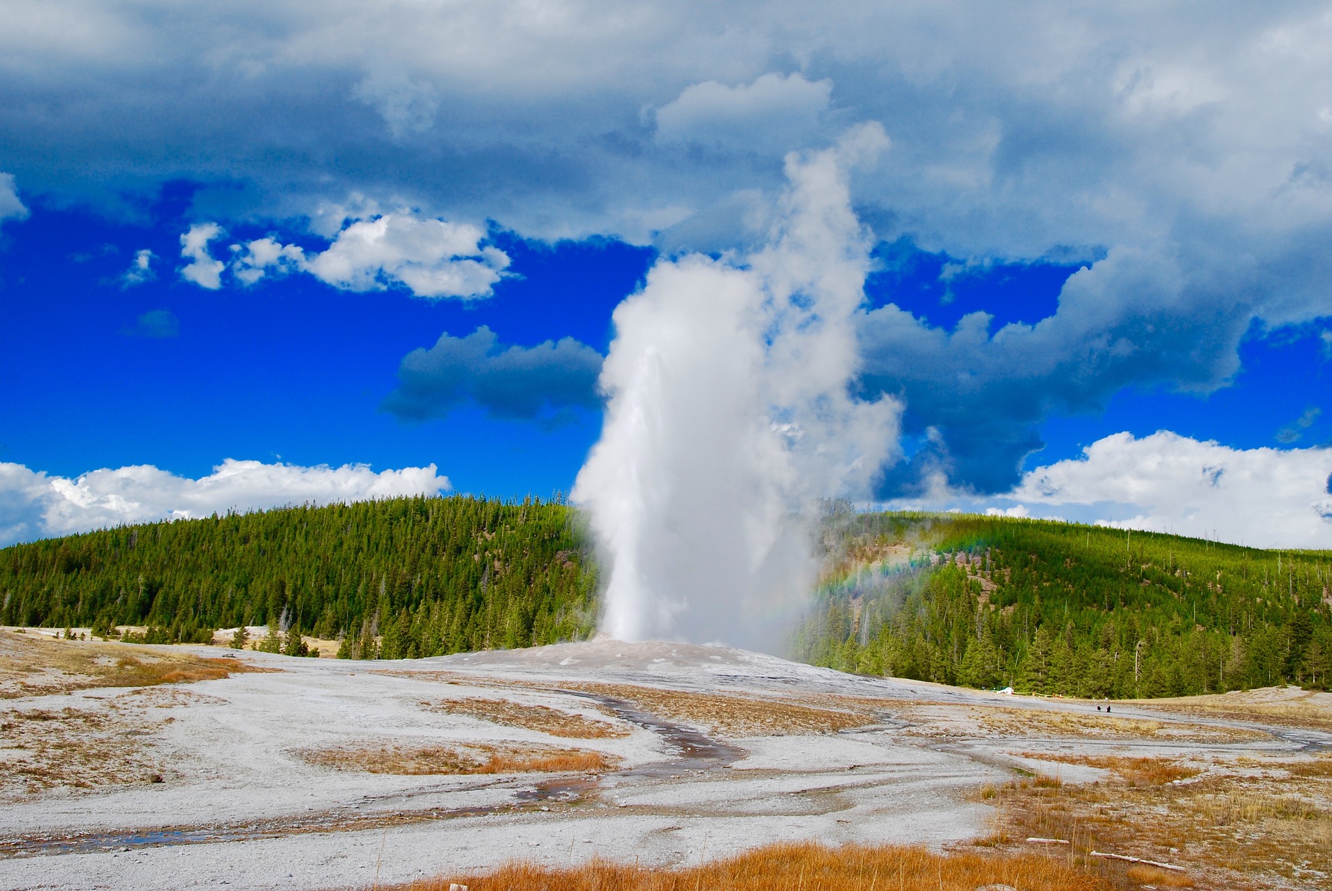 Old Faithful Schedule Eruptions