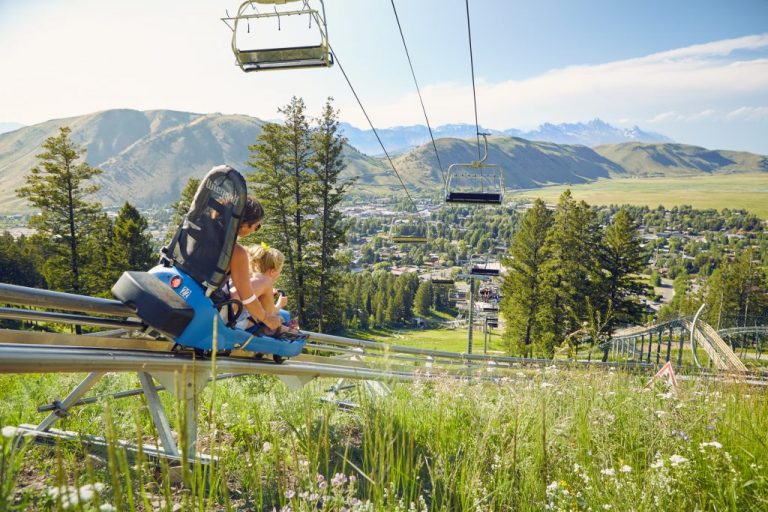 A Day in Jackson Hole with Kids Jackson Hole Reservations