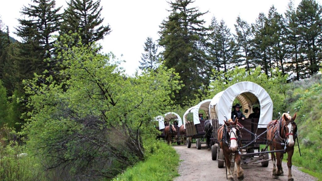 covered wagon tours jackson hole wy