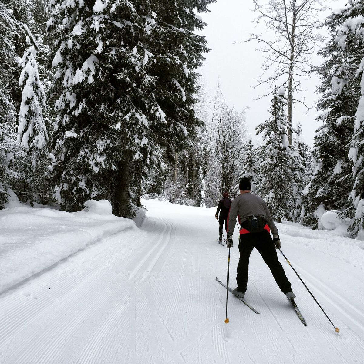 Cross Country Skiing in Jackson Hole Jackson Hole Reservations
