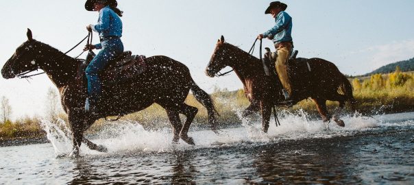 Horseback Riding in Jackson Hole, Wyoming